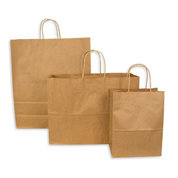 KRAFT PAPER BAG WITH TWISTED HANDLES