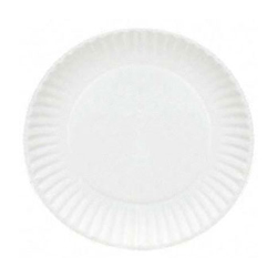 PAPER PLATE 9