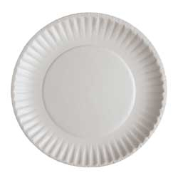 PAPER PLATE 6