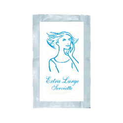 SERVIETTE HUMIDE 8''X11'' 500/CS