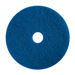 BLUE CLEANING PADS 19