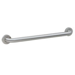 STAINLESS STEEL STRAIGHT GRAB BAR 24