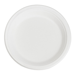 ASSIETTE EN BAGASSE 9