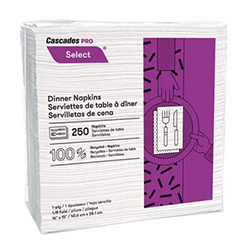 WHITE DINNER NAPKIN 16