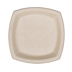 ASSIETTE CARRÉE EN BAGASSE 6