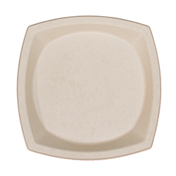 ASSIETTE CARRÉE EN BAGASSE 10