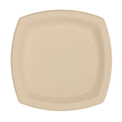 ASSIETTE CARRÉE EN BAGASSE 6