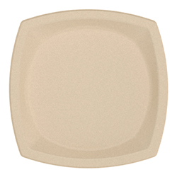 ASSIETTE CARRÉE EN BAGASSE 10