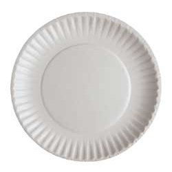 ASSIETTE EN CARTON 6