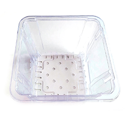 CONTENANT BARQUETTE CLAIR POUR FRUIT 3 LB