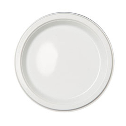 ASSIETTE PLASTIQUE BLANCHE 10
