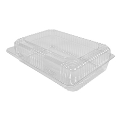 CLEAR HINGED CONTAINER 11.75