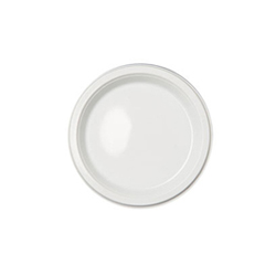 WHITE PLASTIC PLATE 6