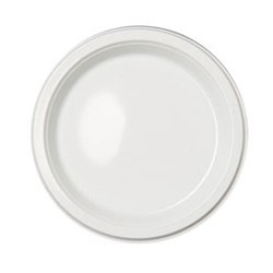 WHITE PLASTIC PLATE 9