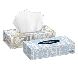 FACIAL TISSUE 100S 2PLY