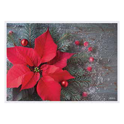 NAPPETON FLEUR POINSETTIA 10