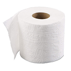 BATHROOM TISSUE 2PLY 500S