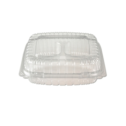 CLEAR PLASTIC HINGED CONTAINER 20OZ 6