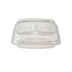 CLEAR PLASTIC HINGED CONTAINER 6