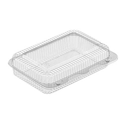 CLEAR PLASTIC HINGED UTILITY CONTAINER