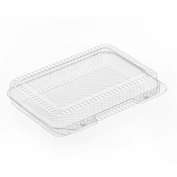 CLEAR DOME RECTANGULAR CONTAINER