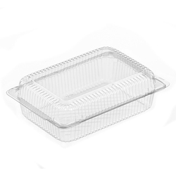 CLEAR DOME RECTANGULAR CONTAINER