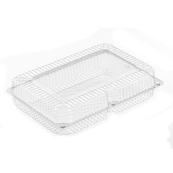 CLEAR PLASTIC HINGED UTILITY CONTAINER
