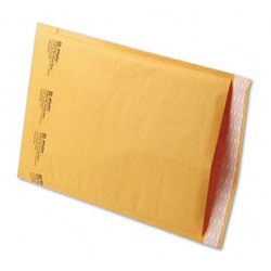 BUBBLE ENVELOPE NO.2 8.5