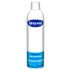 AEROSOL GLASS CLEANER 539 GR