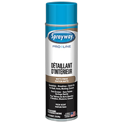 DÉTAILLANT D'INTÉRIEUR FINITION MATTE EN AÉROSOL 340 GR