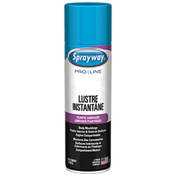 LUSTRE INSTANTANÉ SURFACES PLASTIQUES EN AÉROSOL 312 GR