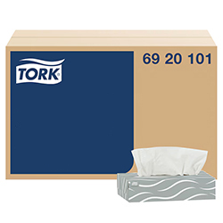FACIAL TISSUE 100S 2PLY