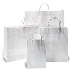 WHITE PAPER BAG WITH TWISTED HANDLES 10