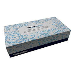 FACIAL TISSUE 100S 2PLY