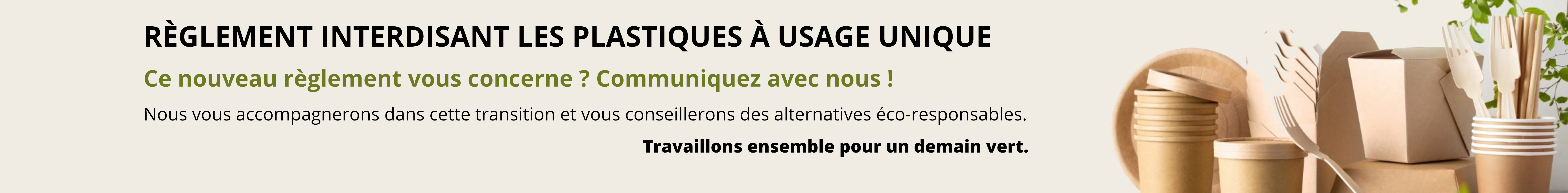 Les plastiques à usage unique